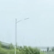 Natural Curly Human Hair Wigs with Adjustable Straps Various Lengths / Densities Full Lace Construction